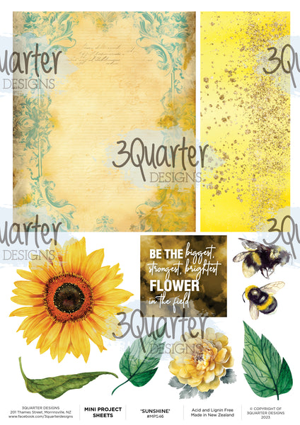 Sunflower - Mini Project Sheet - Released August 2024